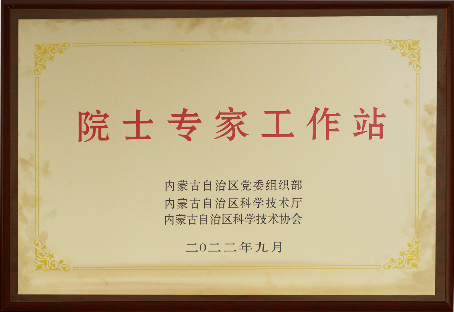 Academician Expert Workstation