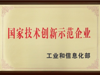 國家技術創新示范企業
